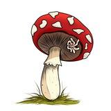 Telegram profile photo for Poganki CALLS