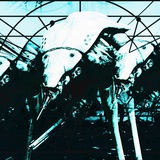 Telegram profile photo for WHITE STRIDER