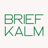 Telegram profile photo for БРИФ КАЛМЫКИЯ