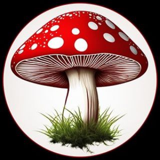Telegram profile photo for Красный Мухомор (чат)