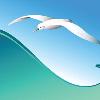 Telegram profile photo for Буря и вестник