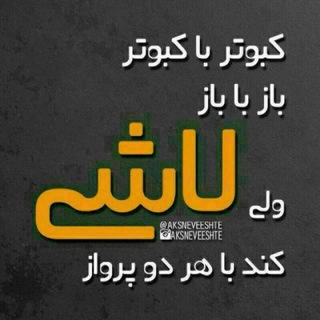 Telegram profile photo for انجمن جنده های ایران