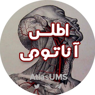Telegram profile photo for گروه آناتومی اطلس
