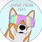 Telegram profile photo for AMMO FROM SIBA🧡