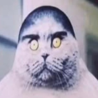 Telegram profile photo for aaxtc