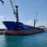 Telegram profile photo for Navis-1