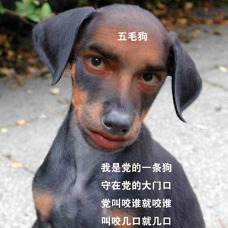 Telegram profile photo for 五毛,黃俄特務以及垃圾預判