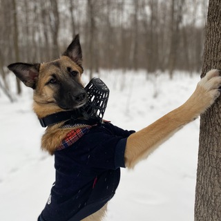 Telegram profile photo for BARNIOLIVIE.GAMES
