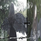 Telegram profile photo for nn bro