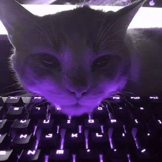 Telegram profile photo for NedoModules