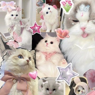 Telegram profile photo for 𝐆𝐀𝐋𝐄𝐑𝐘 𝐁𝐄𝐁𝐄𝐘 ~ ♡