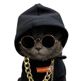 Telegram profile photo for В мире животных