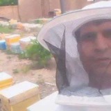 Telegram profile photo for عسل مزارع و مناطق کوهپایه ای سبزوار#ارتفاعات_کوهمیش_سبزوار. مناطق جلگه ای بینالود خراسان رضوی
