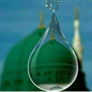 Telegram profile photo for Ummat.uz