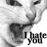Telegram profile photo for RAWR 16k
