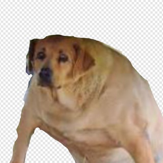 Telegram profile photo for Пёсовое