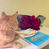 Telegram profile photo for أم هريرة