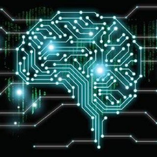 Telegram group profile photo for Neuroscience and NBIC
