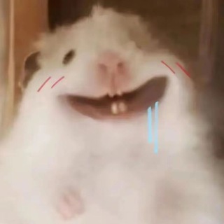 Telegram profile photo for 落璃频道