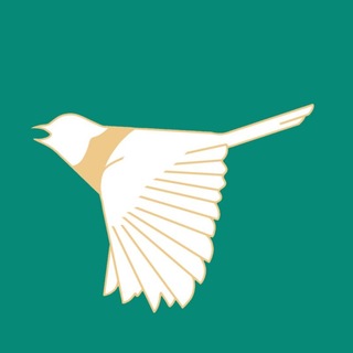 Telegram profile photo for Пересмешник ВолгГМУ