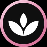 Telegram profile photo for MiddleGirls