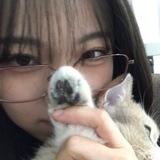 Telegram profile photo for Reborn