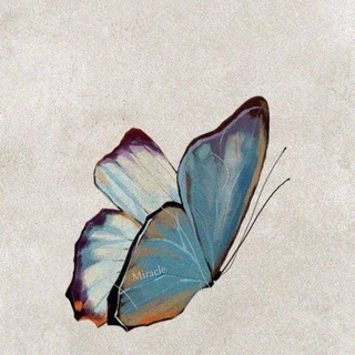 Telegram profile photo for ТУТ ДУШЕВНО🦋