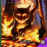 Telegram profile photo for Прайс Плюхи