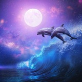 Telegram profile photo for 2 D_o_l_p_h_i_n