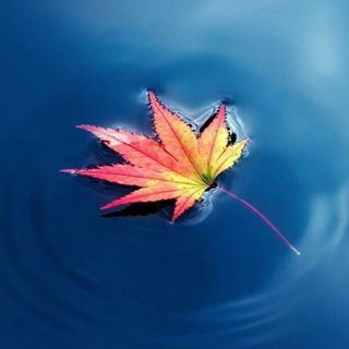 Telegram profile photo for نسمات عذبة 🍁