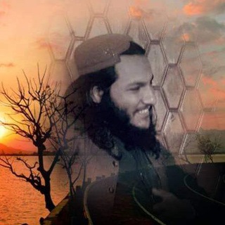Telegram profile photo for شاعر عبدالجلیل عمر