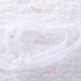 Telegram profile photo for ••『 Marriage Family Benefits 』 ••