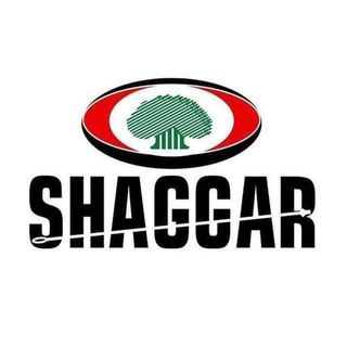Telegram profile photo for Shaggar City Communication