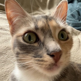 Telegram profile photo for два изгоя