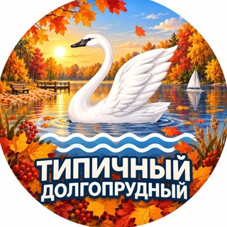 Telegram profile photo for Типичный Долгопрудный