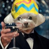 Telegram profile photo for $Pukku Memes