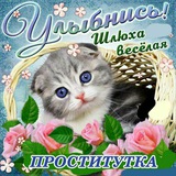 Telegram profile photo for дегенеративные мемы