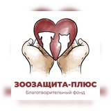 Telegram profile photo for «Зоозащита - плюс» г. Серпухов