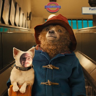 Telegram profile photo for pADHDton bear
