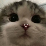 Telegram profile photo for Partypartyyeah