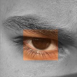 Telegram profile photo for لـ مُـصطَفى