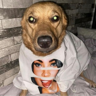 Telegram profile photo for КНЯЗЕВА