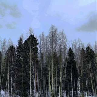 Telegram profile photo for Death in the Afternoon