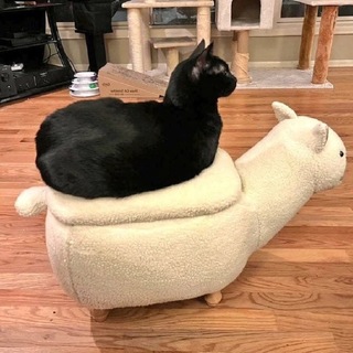 Telegram profile photo for GenAI monitor