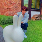 Telegram profile photo for Kpop info asp