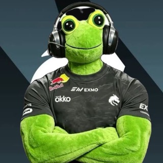 Telegram profile photo for Подвал Жаб Жабыча | Team Spirit | Спирит | Donk | Донк