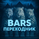 Telegram profile photo for Переходник BARS CHAT