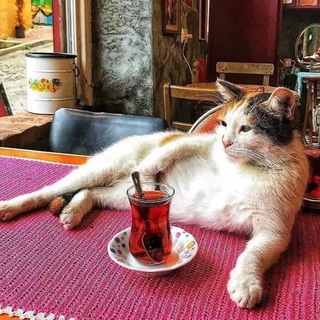 Telegram group profile photo for Поле Чая🍵