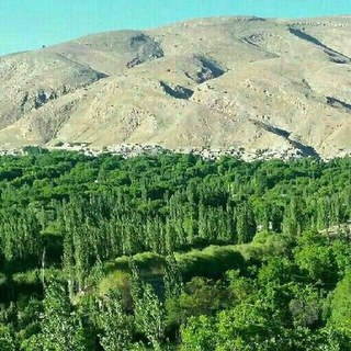 Telegram profile photo for کانال روستای بوانلو