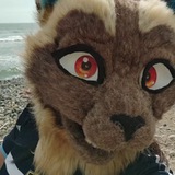 Telegram profile photo for CinDery the Peruvian Cat 😸🇵🇪